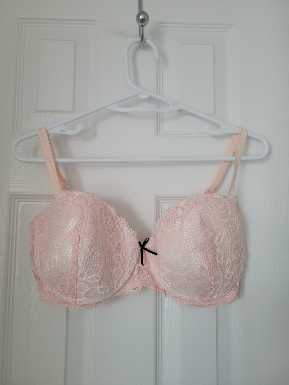 La Vie En Rose Light Pink Lace Bra Side 38DD